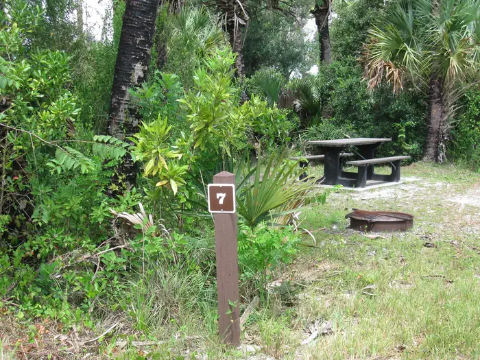 Gator Head Campground