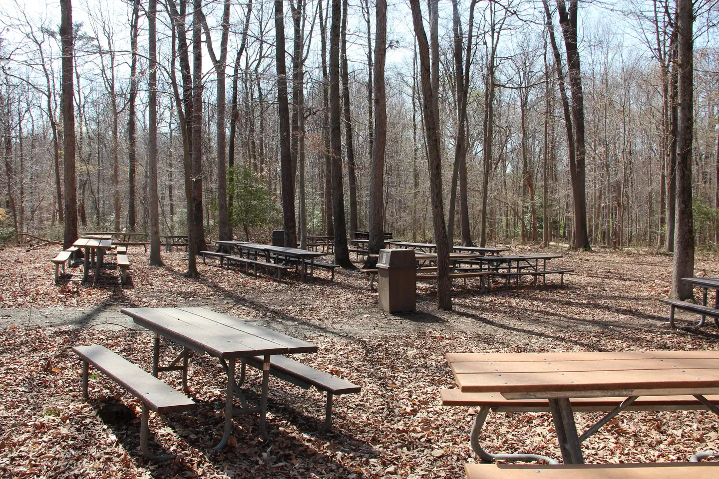 LAUREL RESERVED PICNIC AREA