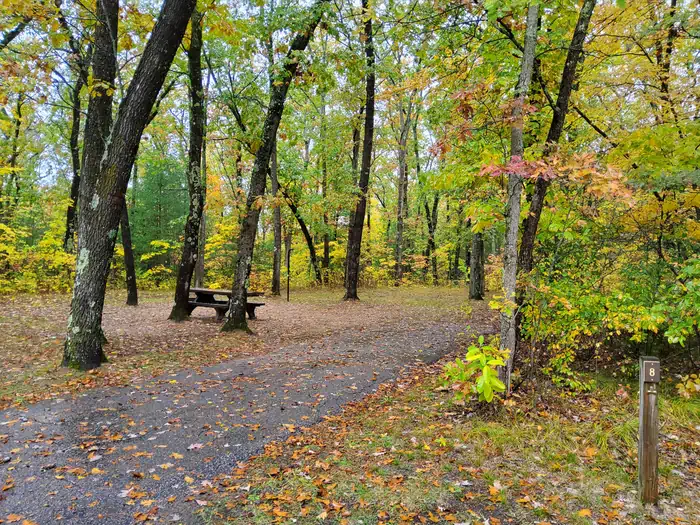 Sand Lake Campground - Manistee National Forest