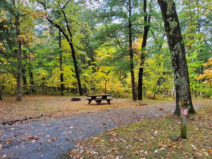 Sand Lake Campground - Manistee National Forest