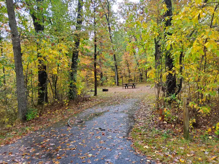 Sand Lake Campground - Manistee National Forest