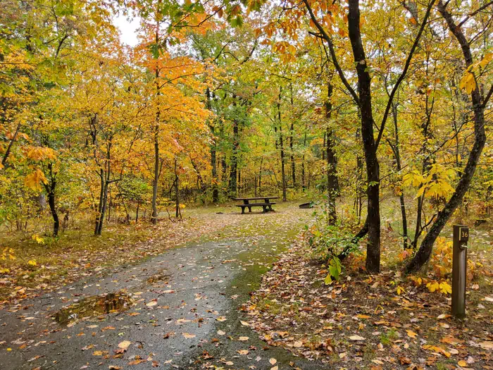Sand Lake Campground - Manistee National Forest