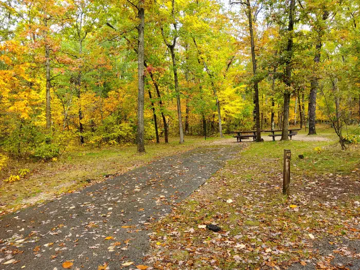 Sand Lake Campground - Manistee National Forest