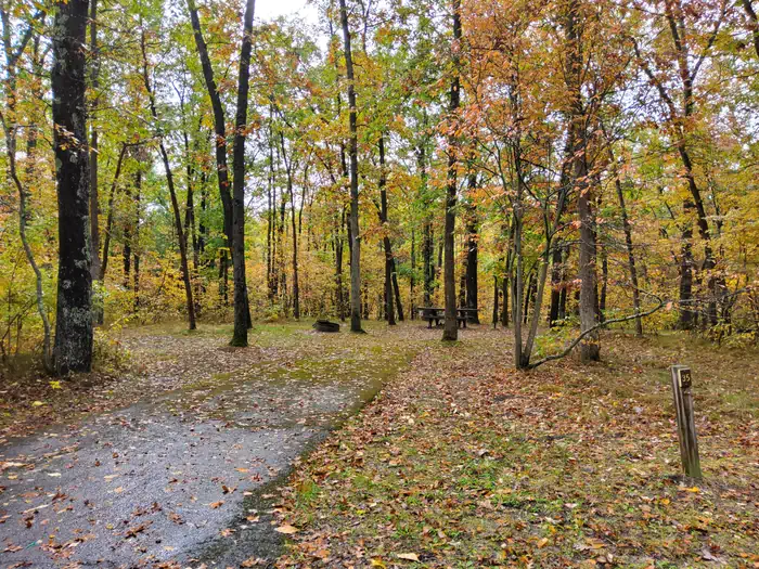 Sand Lake Campground - Manistee National Forest