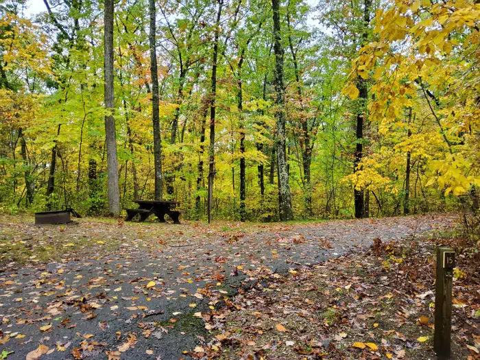 Sand Lake Campground - Manistee National Forest