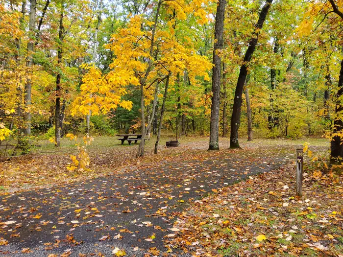 Sand Lake Campground - Manistee National Forest