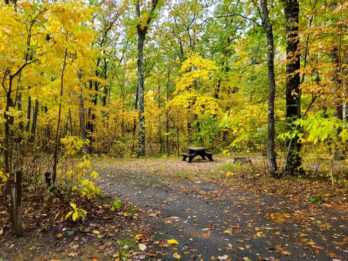Sand Lake Campground - Manistee National Forest