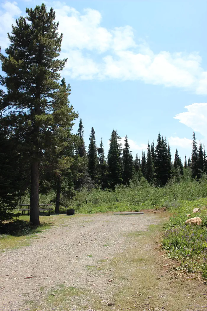 Thompson Flat