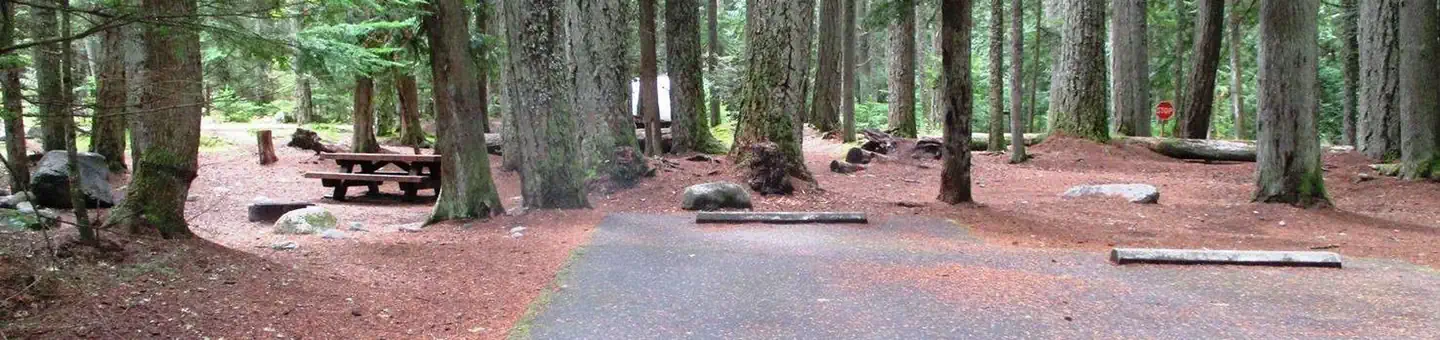 Silver Springs Campground