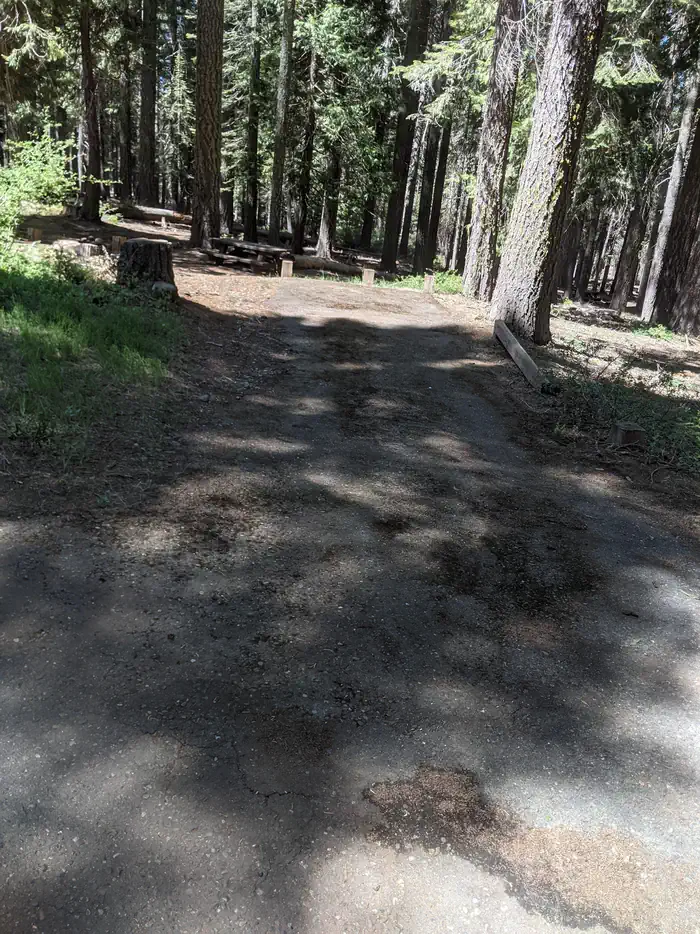 Running Deer