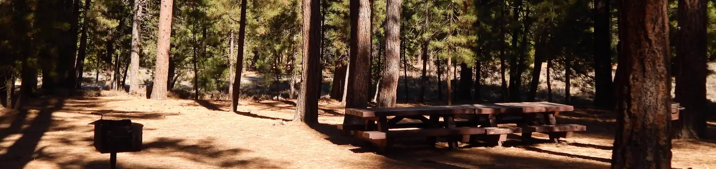 Logger Campground