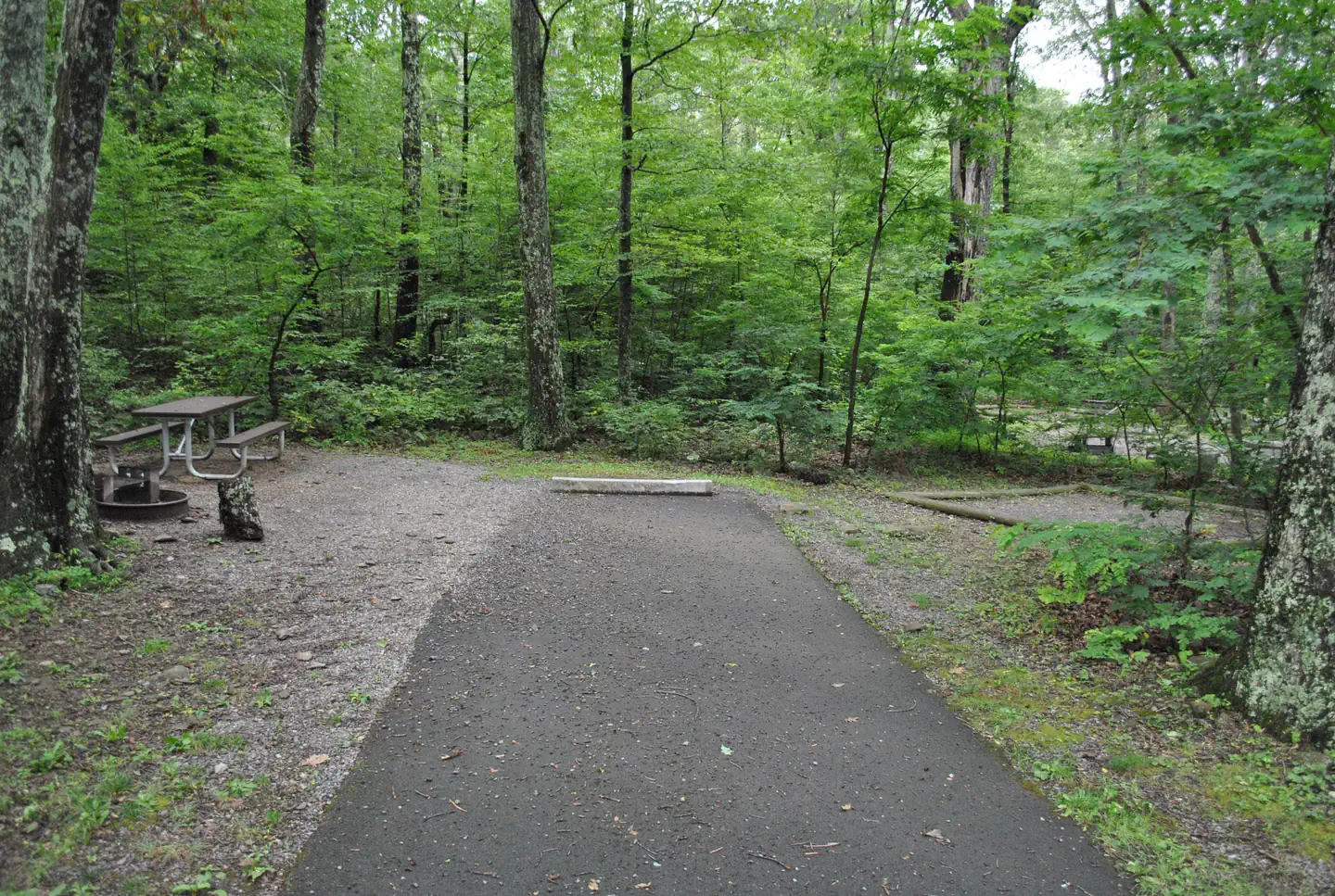 Mathews Arm Campground
