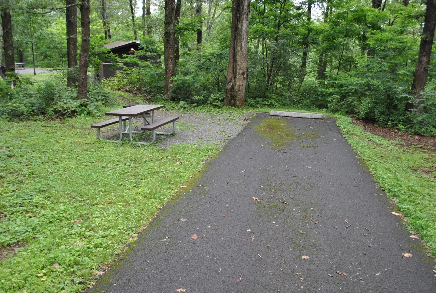 Mathews Arm Campground