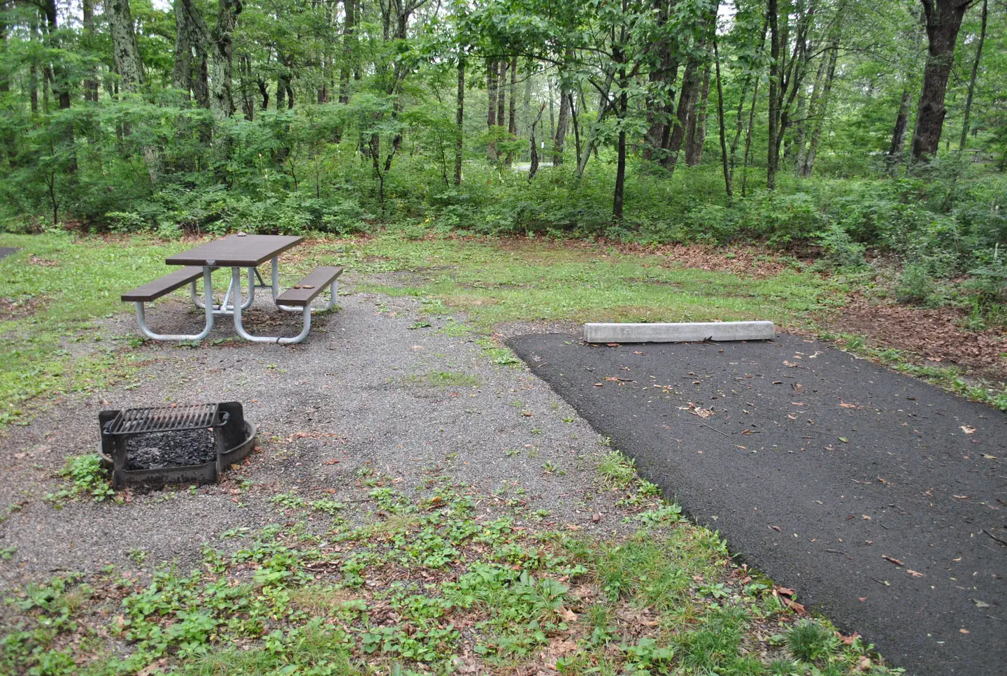 Mathews Arm Campground