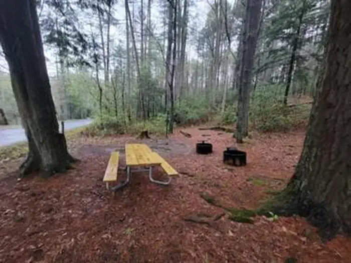 Group Site 1