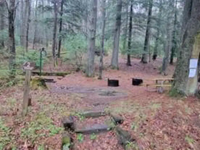 Group Site 2