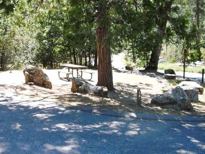 Forks Campground (sierra)