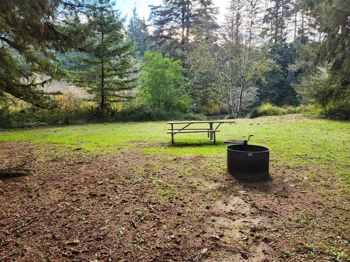 Tyee Campground - Oregon Dunes