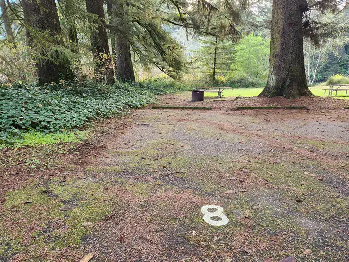 Tyee Campground - Oregon Dunes