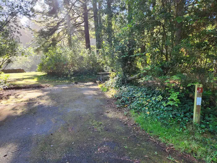 Tyee Campground - Oregon Dunes