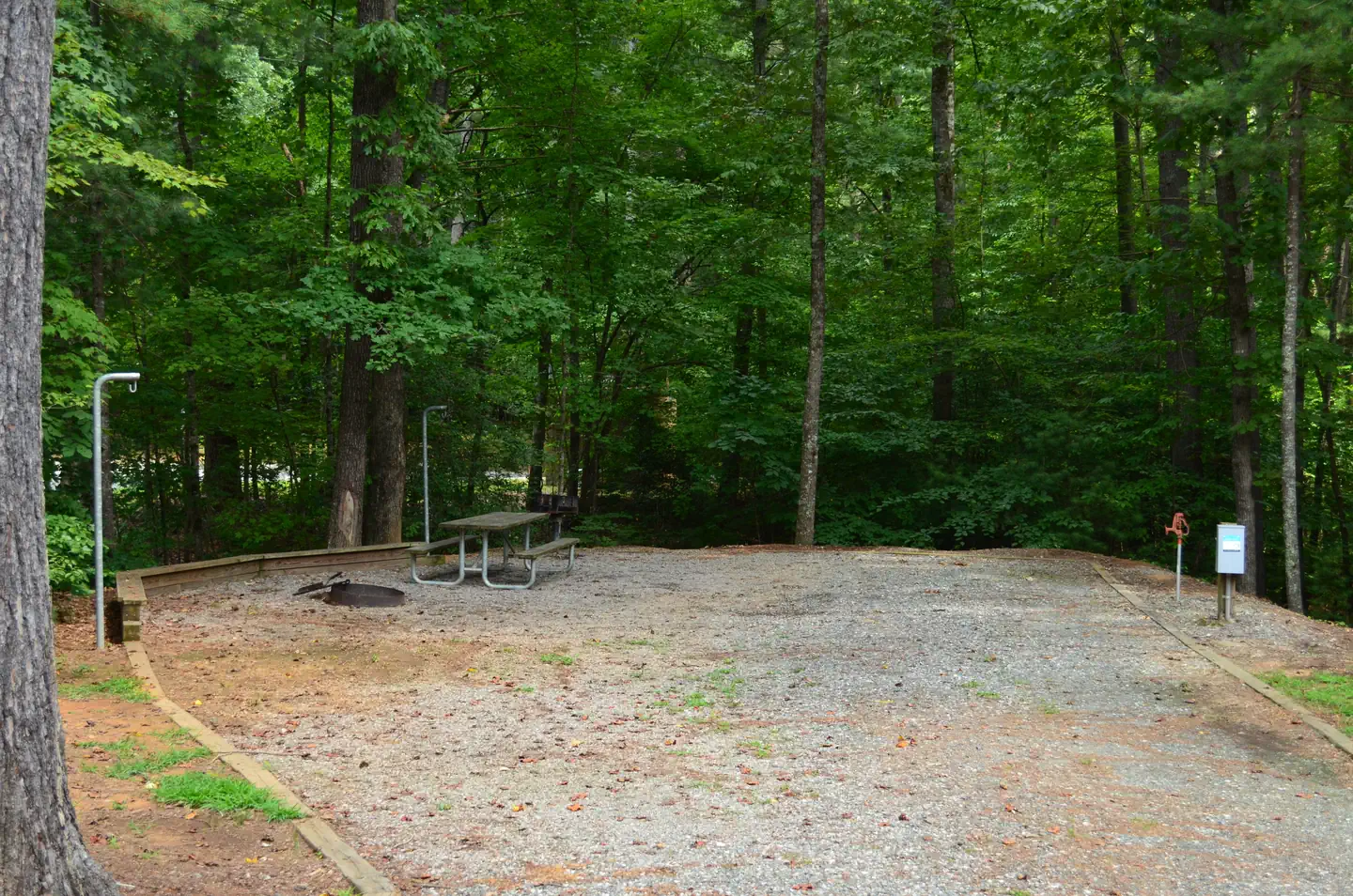 Warrior Creek