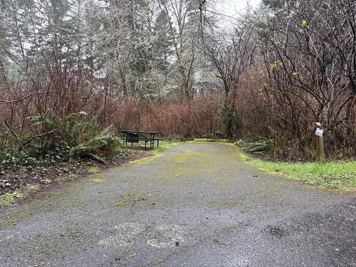 Alder Dune Campground