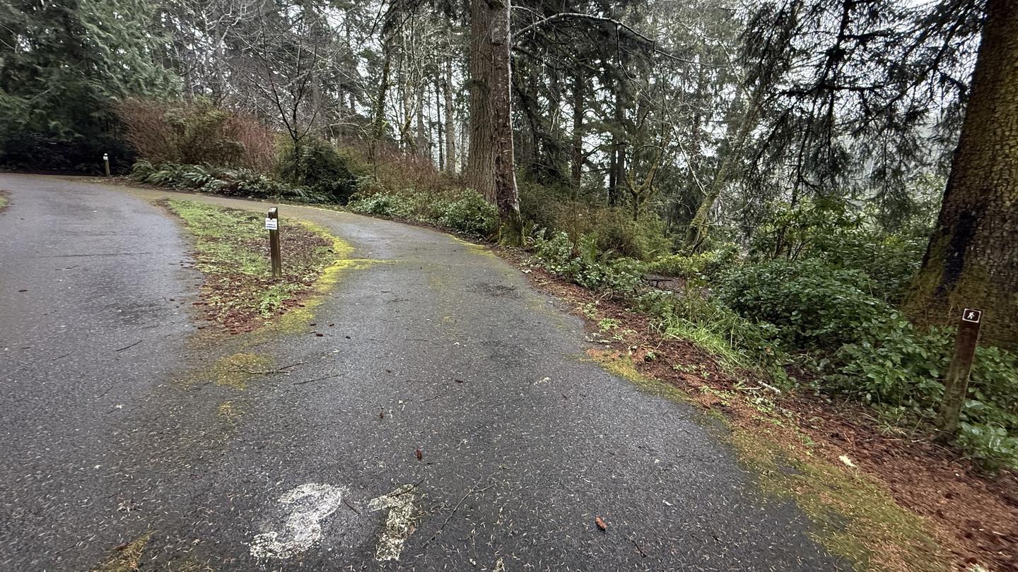 Alder Dune Campground