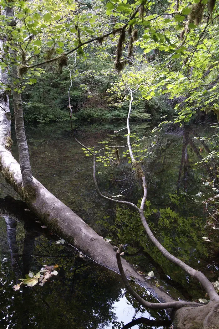 Whittaker Creek Recreation Site