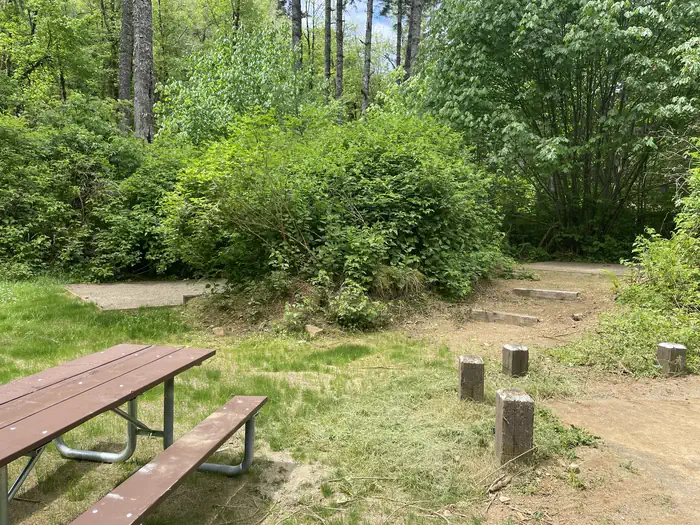 Site 11