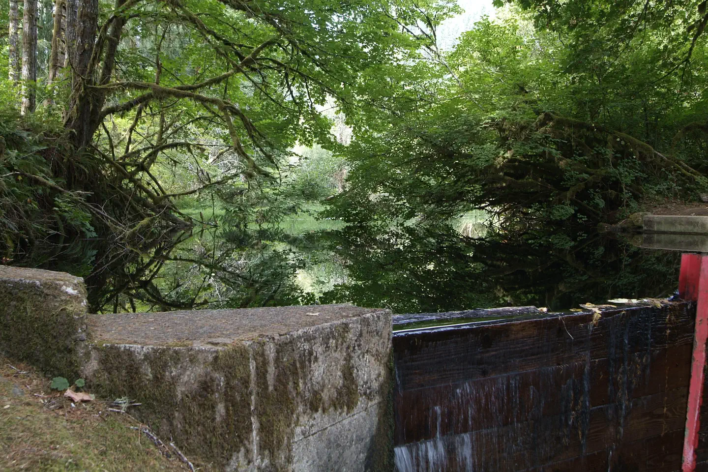 Site 1