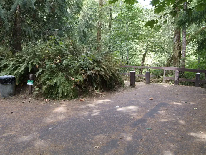 Site 13