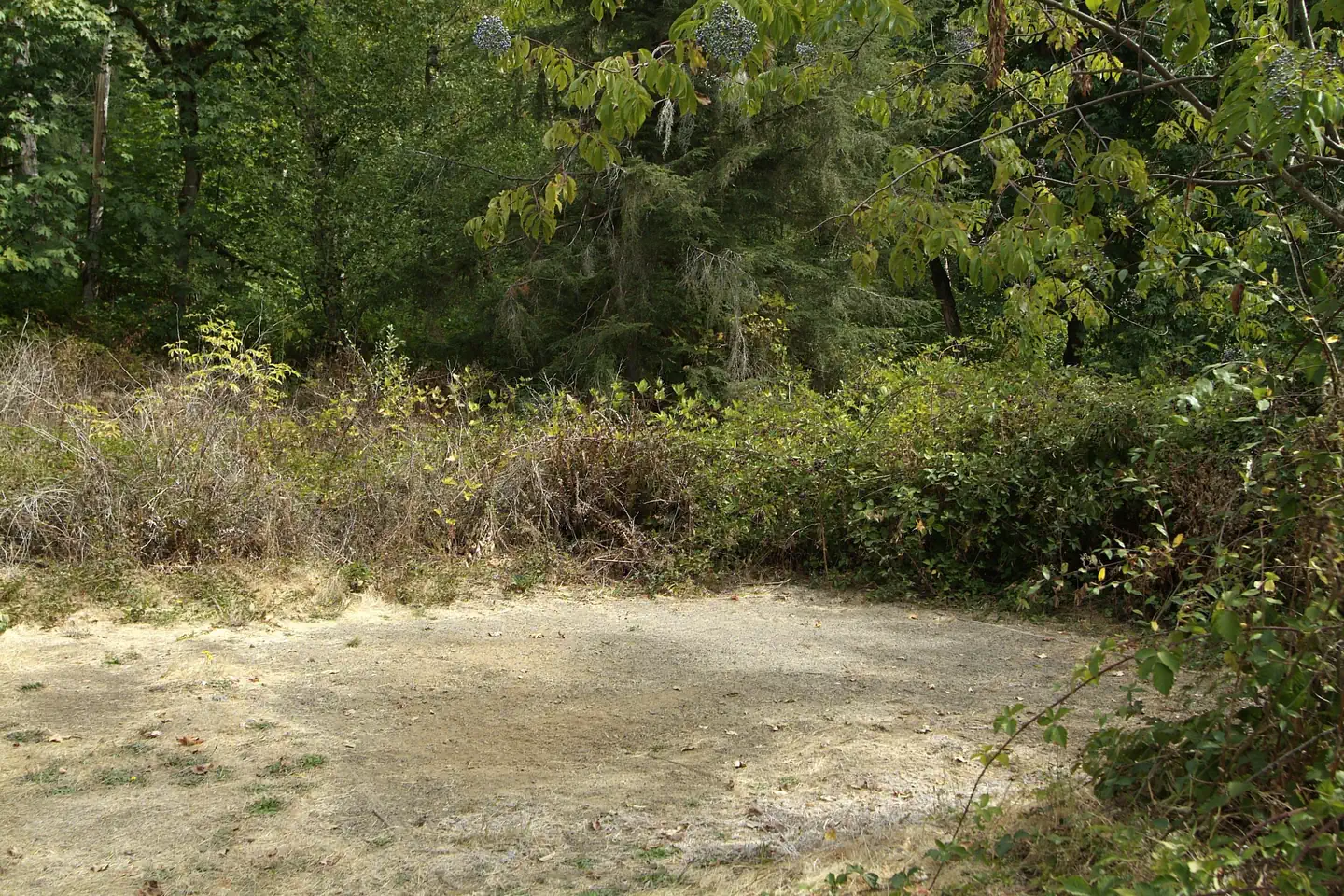 Whittaker Creek Recreation Site