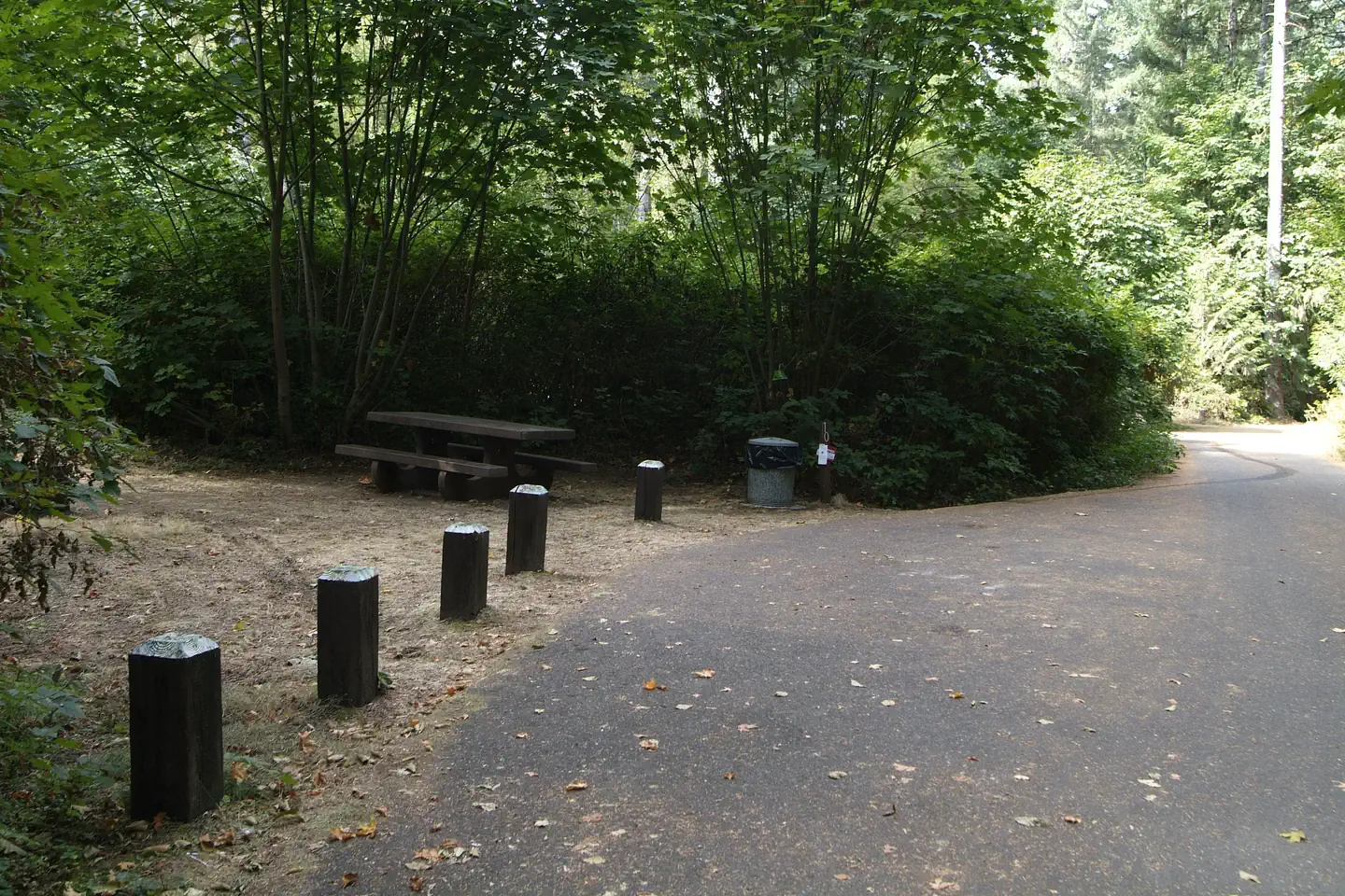 Site 10