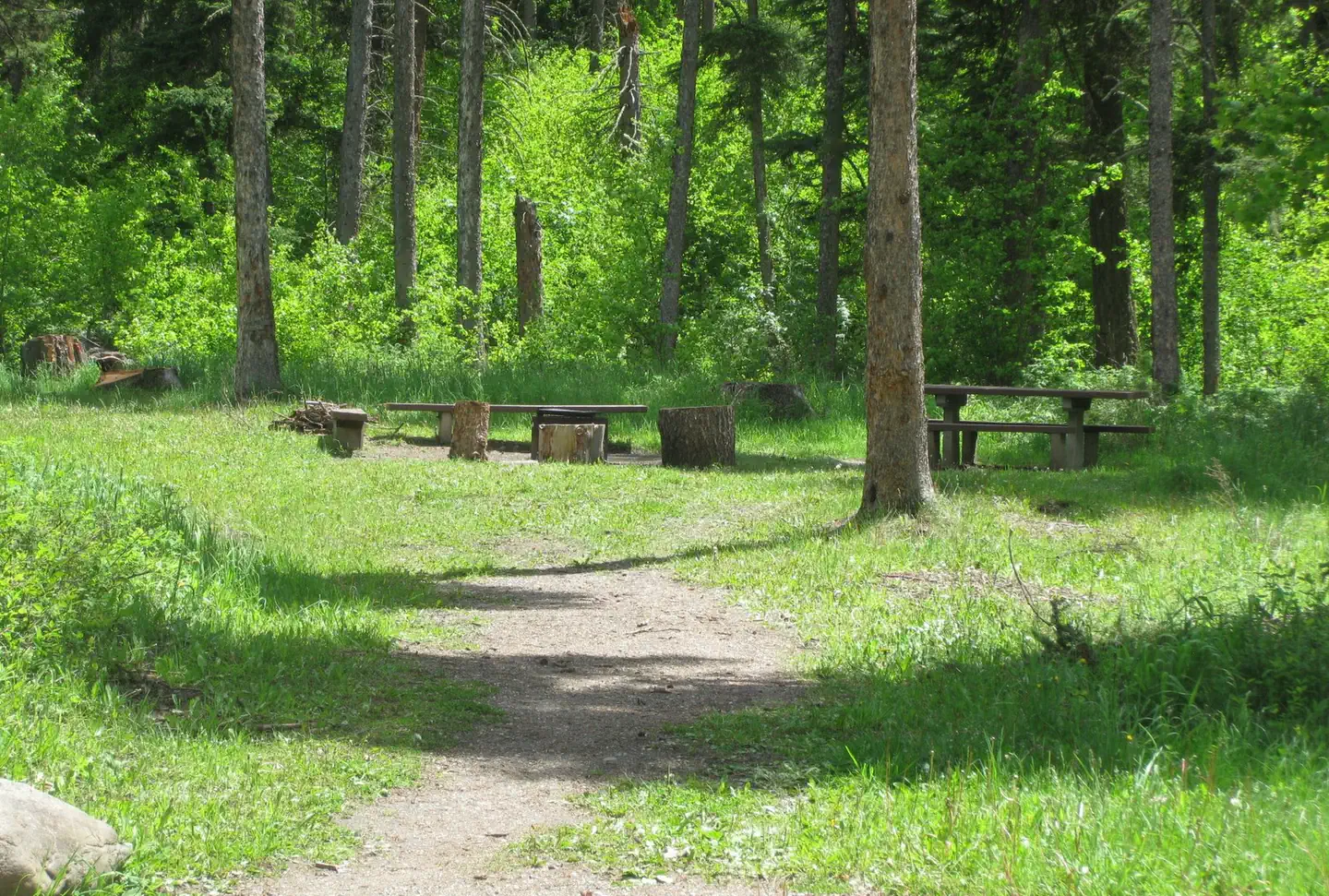 PINE CREEK CAMPGROUND
