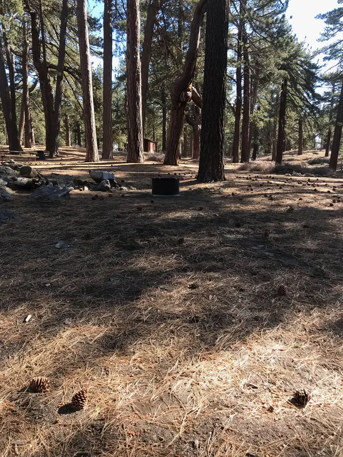Campo Alto Campground