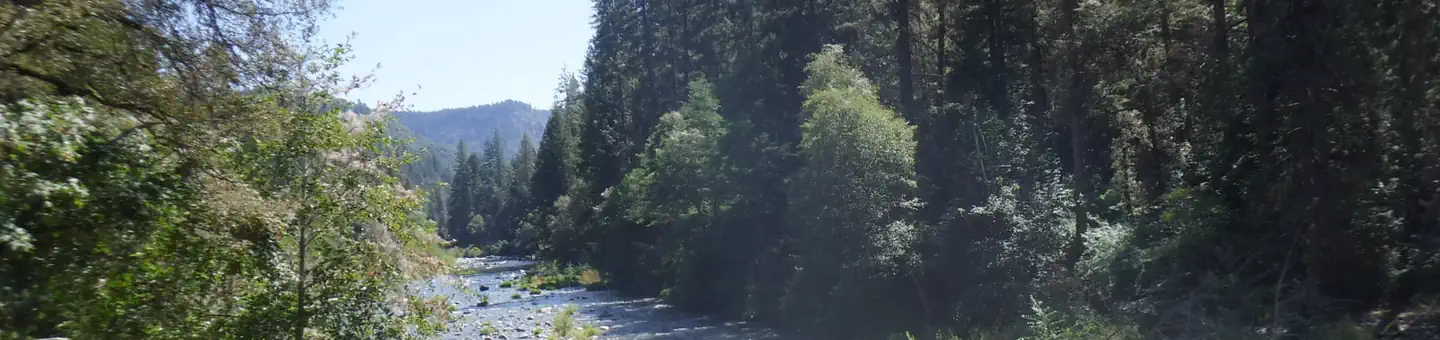 Fiddle Creek