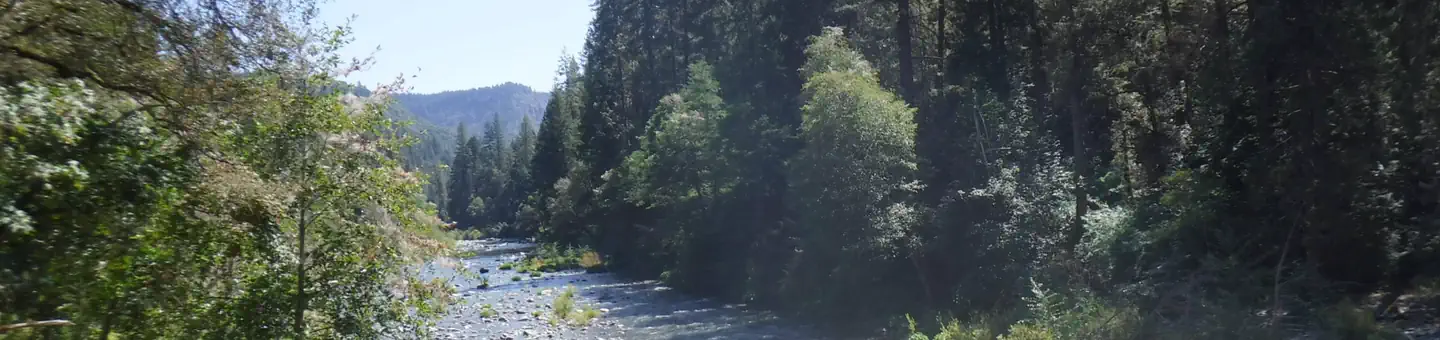 Fiddle Creek