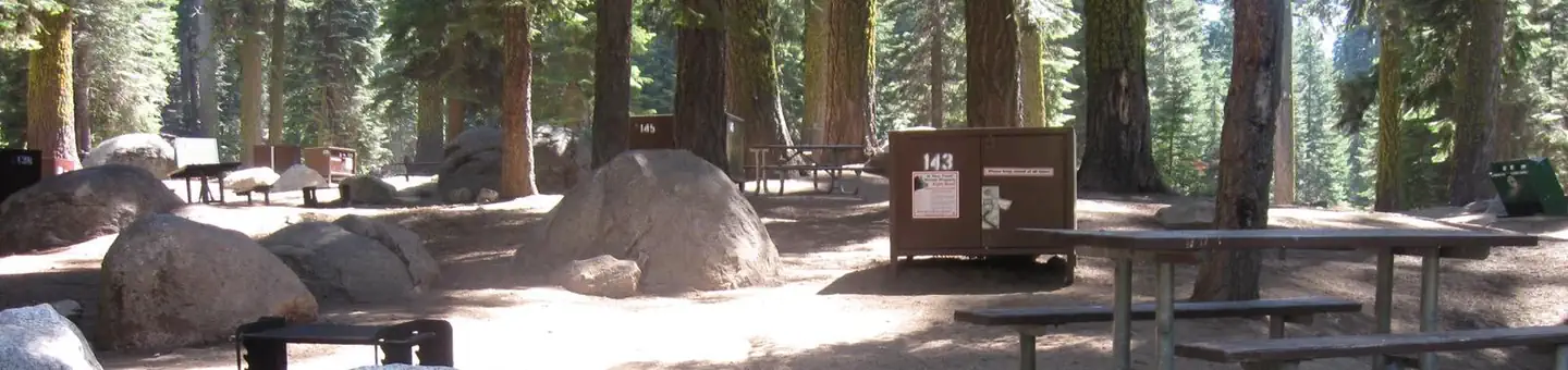 Dorst Creek Campground