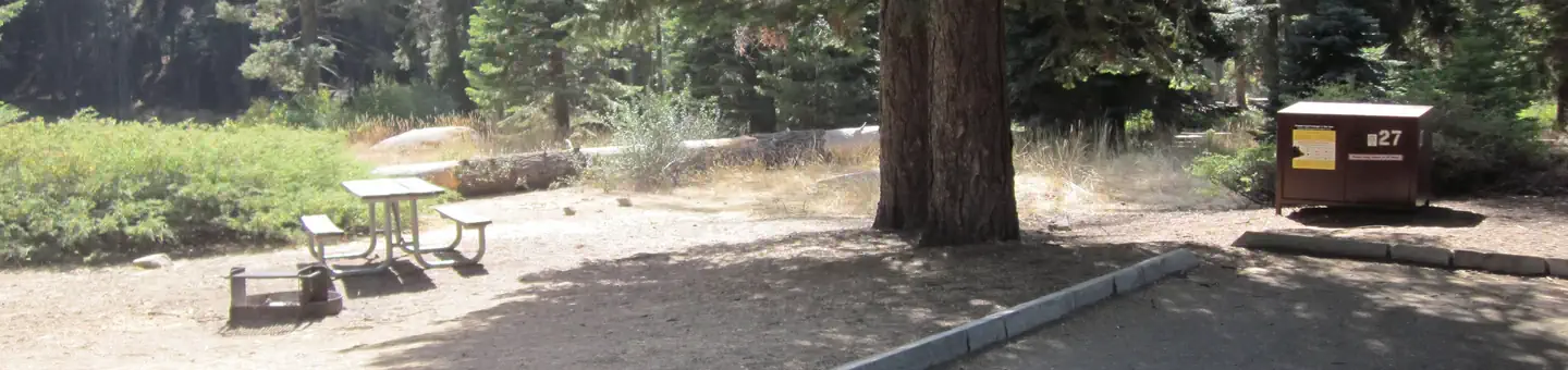 Dorst Creek Campground