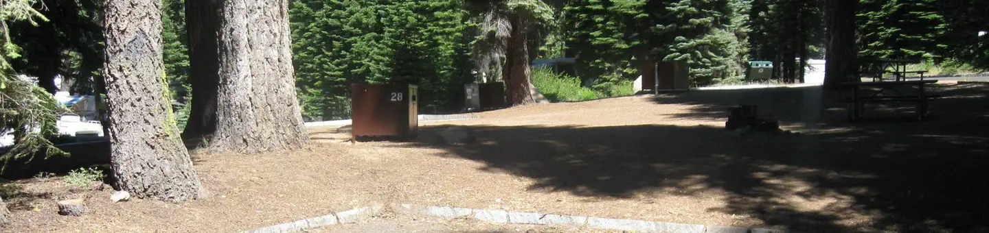 Dorst Creek Campground