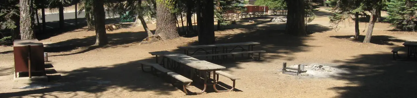 Dorst Creek Campground
