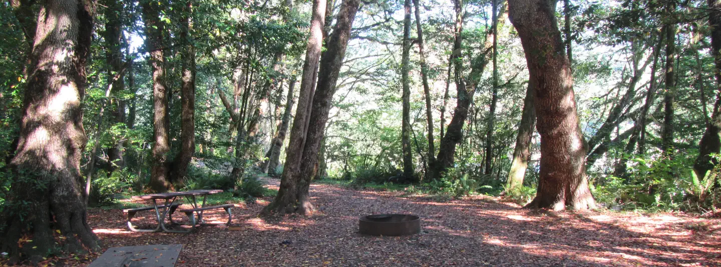 Eagleview Group Campground (reservation)