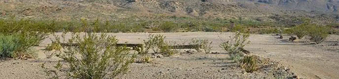 Big Bend Backcountry Camping