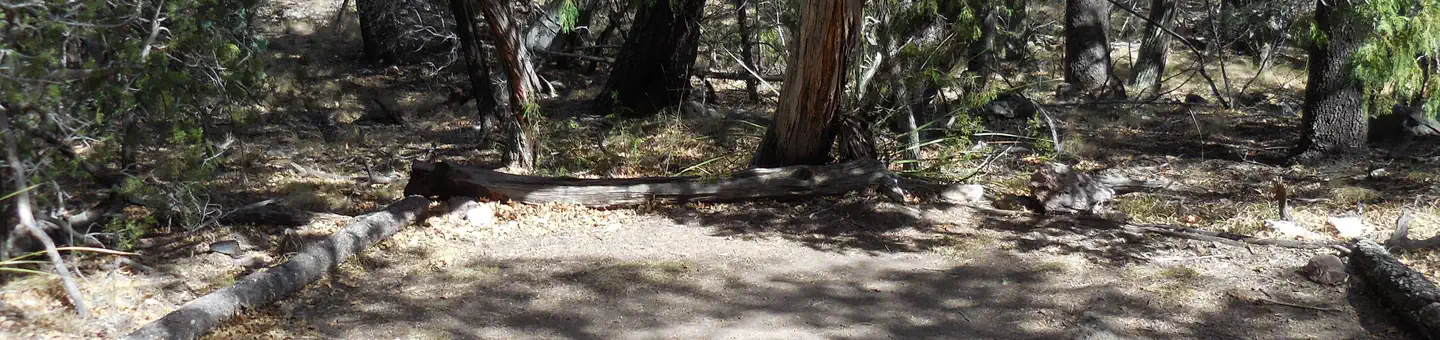 Blue Creek 2