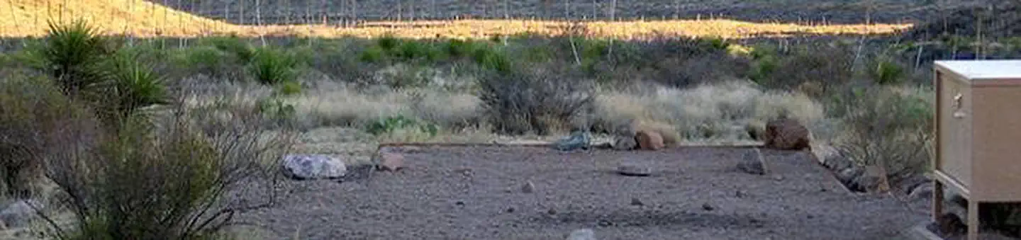 Big Bend Backcountry Camping
