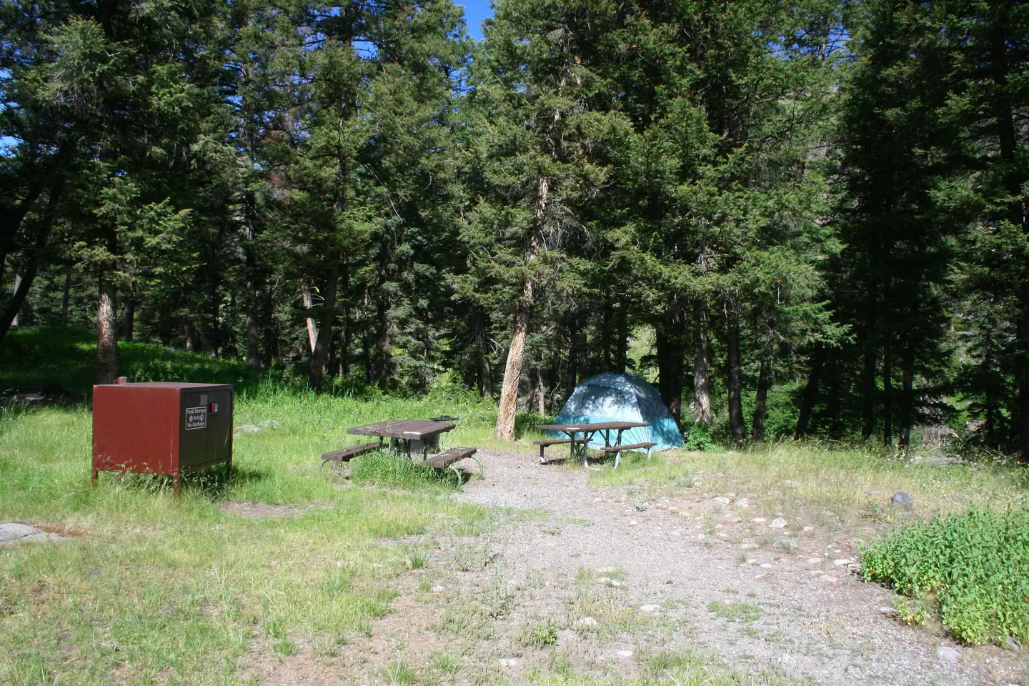 Slough Creek site #12