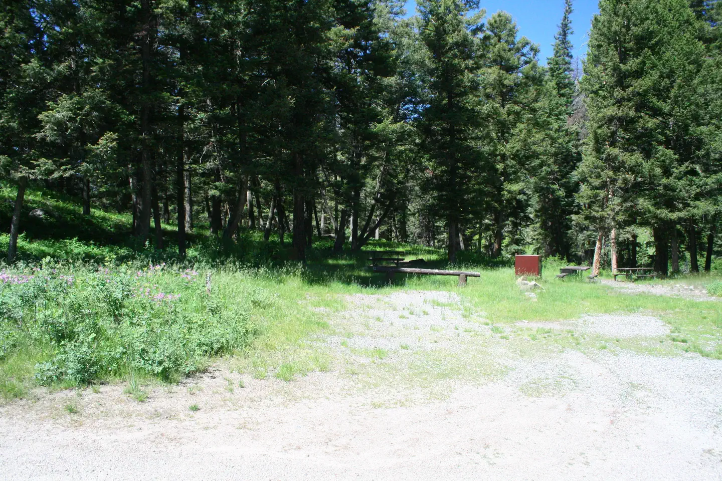 Slough Creek site #13