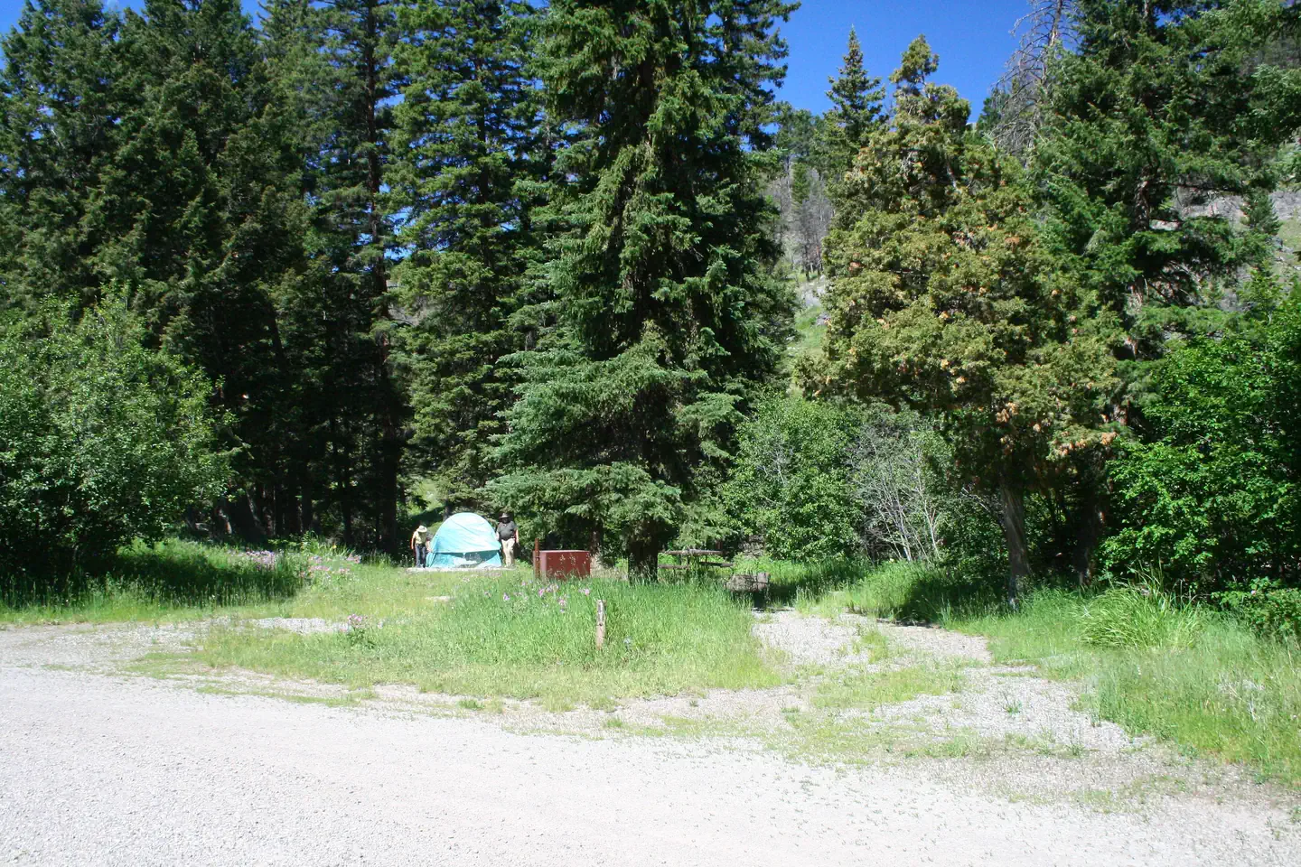 Slough Creek site #11