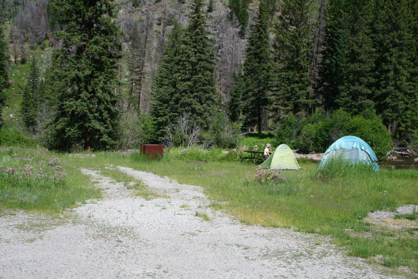 Slough Creek Campground