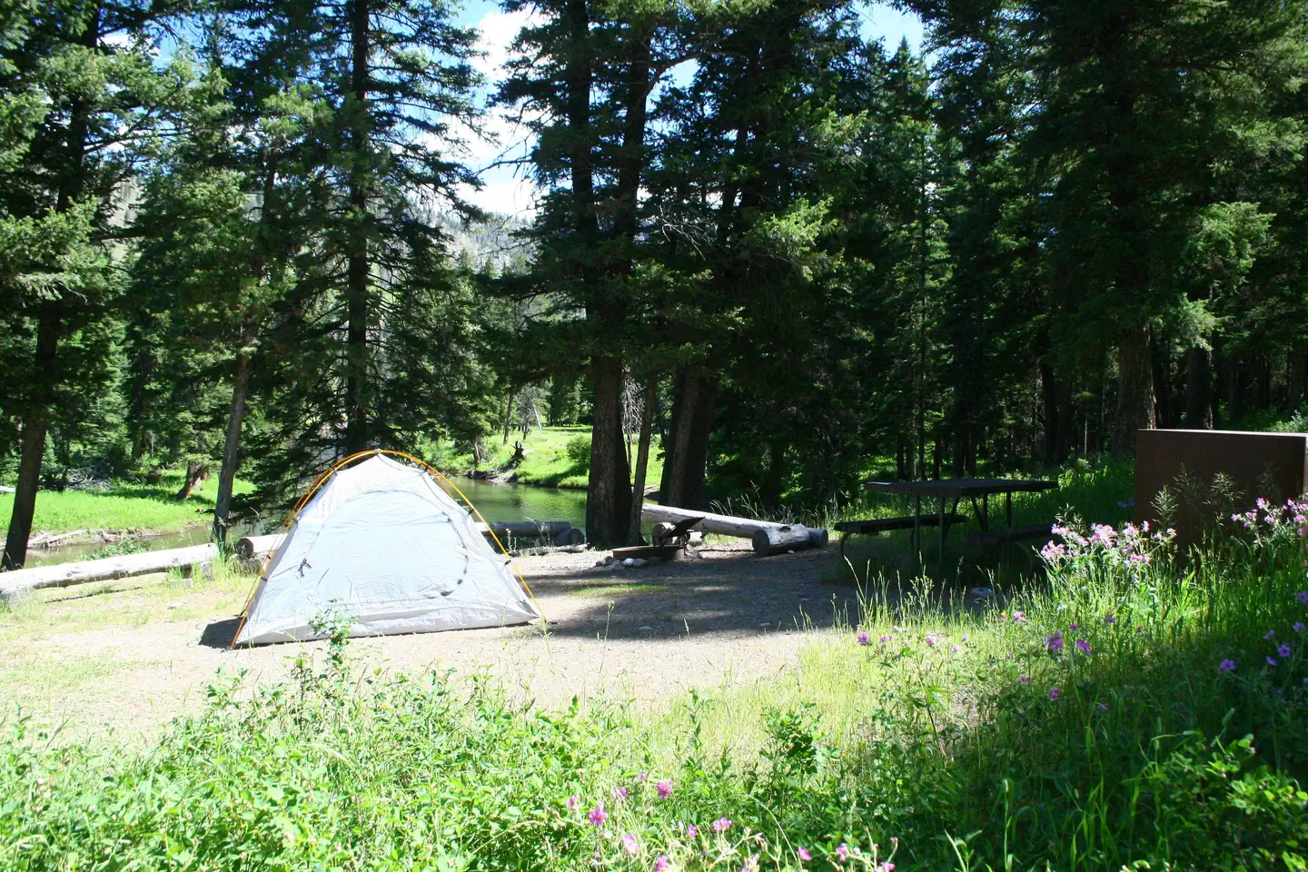 Slough Creek site #1